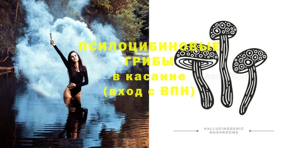 круглые Абаза